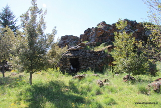 nte Egitto-29-04-2023 09-21-24
